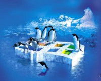 /album/windows-wallpapers/small-482-linux-jpg/