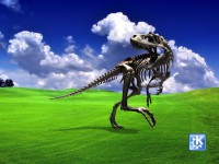 /album/windows-wallpapers/a198-1024x768-jpg/