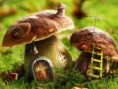 /album/priroda-wallpapers/a9015-mushrooms-house-jpg/